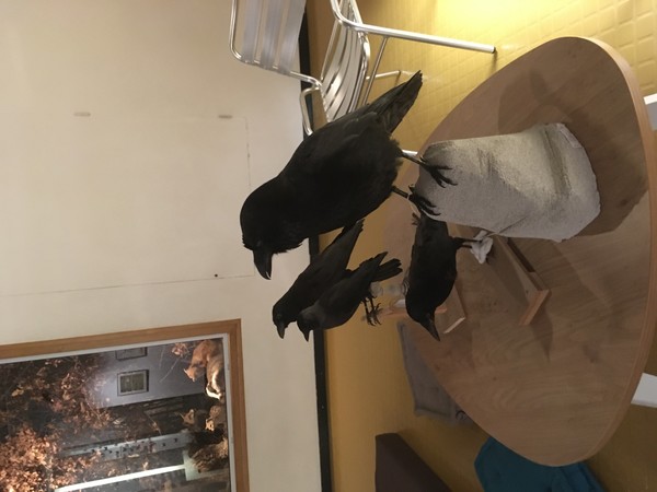 Contes au Muséum de Bourges